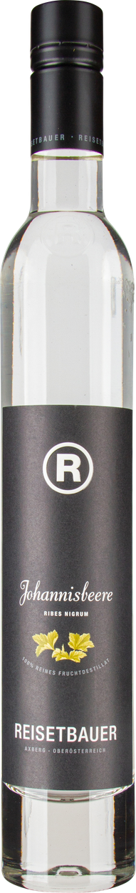 Schwarze Johannisbeere von REISETBAUER aus Österreich