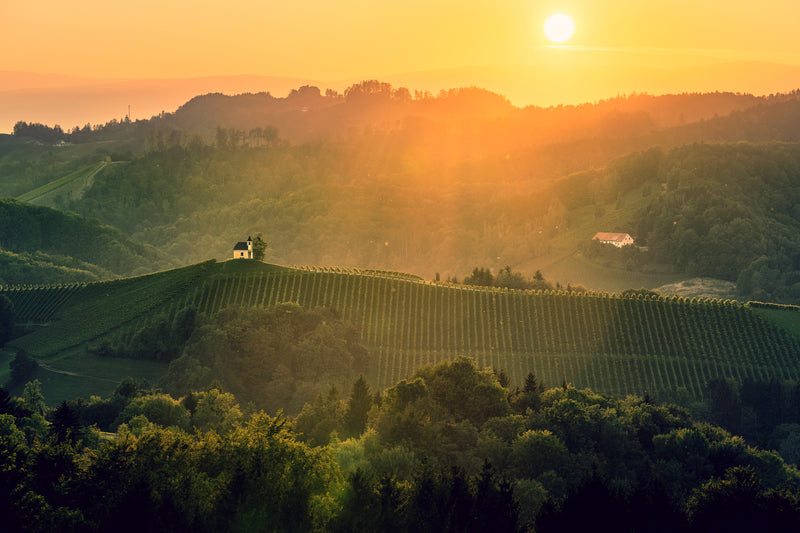 STK Traditionsweine Steirische Terroir Weine