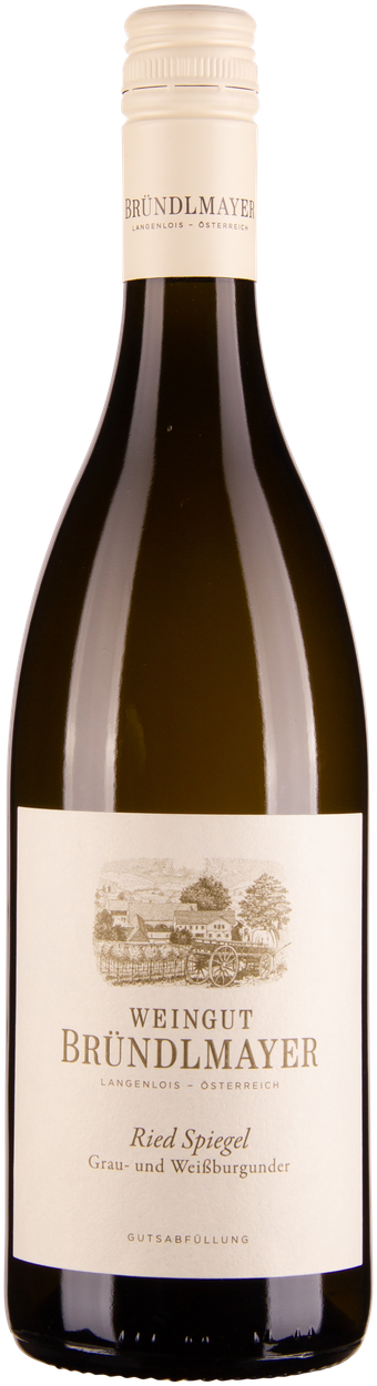 Grau- und Weißburgunder Ried Spiegel 2022 von BRÜNDLMAYER aus Österreich