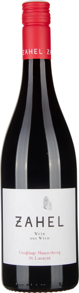 Wein aus Österreich St. Laurent Maurerberg bio 2022 Glasflasche