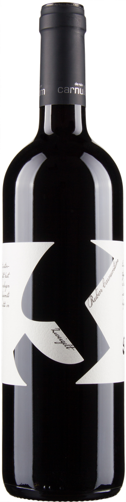 Wein aus Österreich Rubin Carnuntum bio 2021 Glasflasche