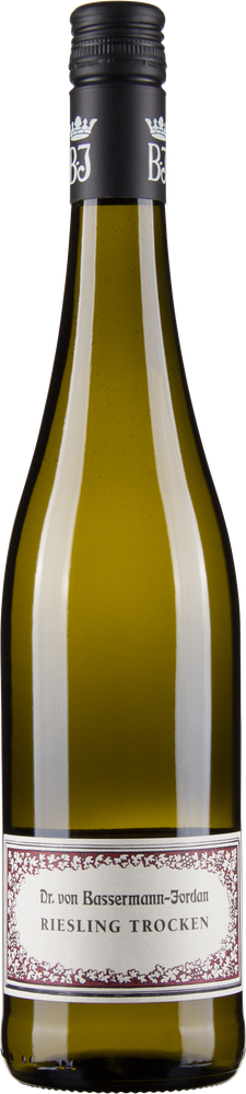 Wein aus Deutschland Riesling trocken 2023 Glasflasche