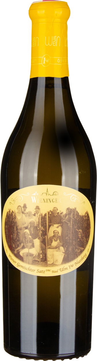 Ried Ulm 1ÖTW Nussberg Wiener Gemischter Satz DAC bio 2023 von WIENINGER aus Österreich