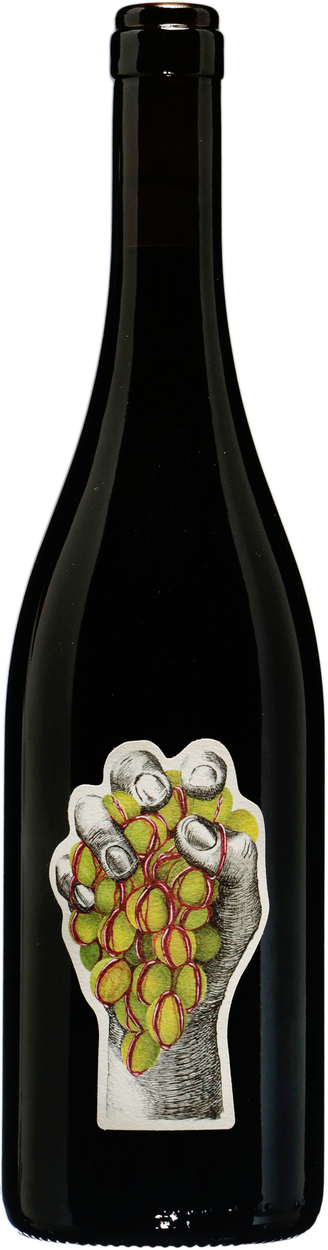NdB (Noir de Blancs) bio 2023 von LEOPOLD AUER aus Österreich