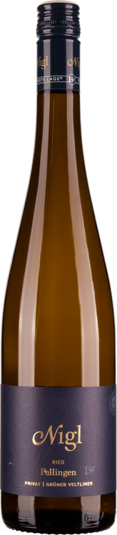 Grüner Veltliner Ried Pellingen 1ÖTW Privat Kremstal DAC 2021