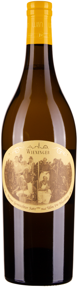 Wein aus Österreich Ried Ulm 1ÖTW Nussberg Wiener Gemischter Satz DAC bio 2021 Glasflasche