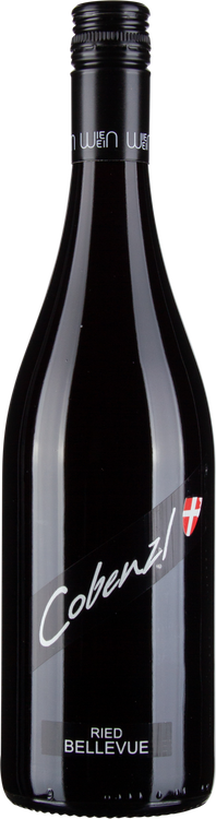 Pinot Noir Ried Bellevue 2017