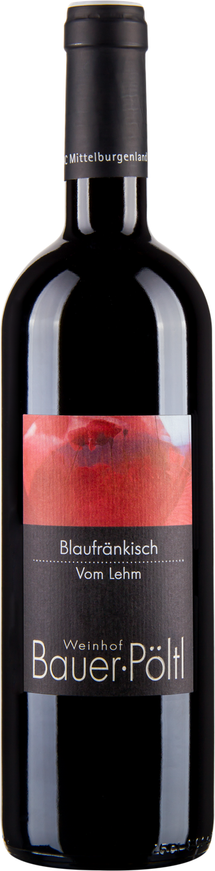 Blaufränkisch vom Lehm Mittelburgenland DAC bio 2019 von BAUER-PÖLTL aus Österreich