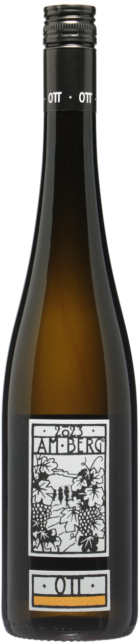 Grüner Veltliner am Berg bio 2025 von BERNHARD OTT aus Österreich