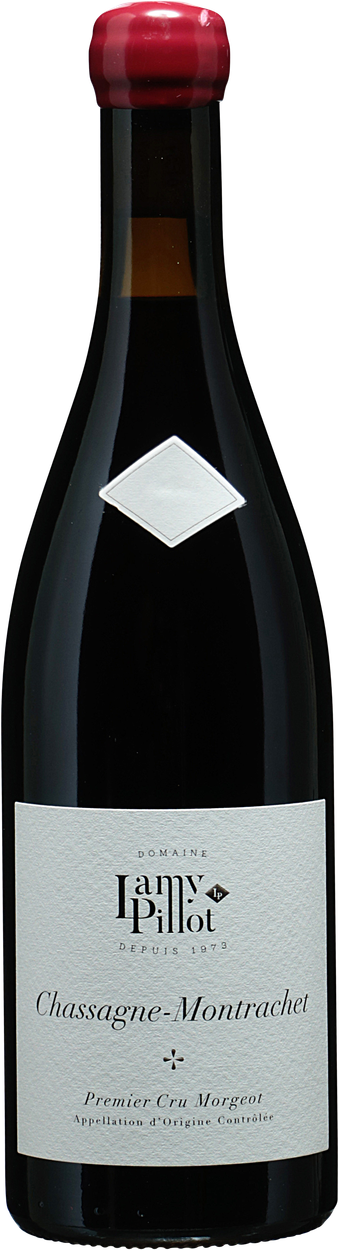 Chassagne-Montrachet rouge 1er Cru Morgeot 2023 von LAMY - PILLOT aus Frankreich