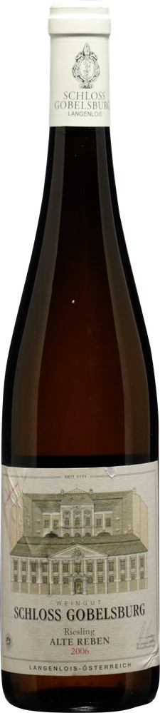 Wein aus Rarität Riesling Tradition 2016 Glasflasche