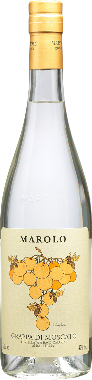 Grappa di Moscato im Geschenkkarton von MAROLO aus Italien