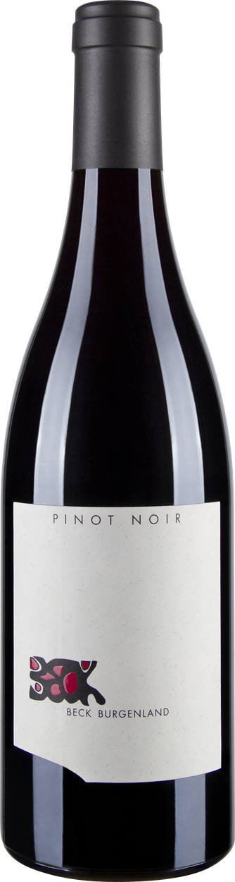 Pinot Noir bio 2017 von BECK aus Österreich