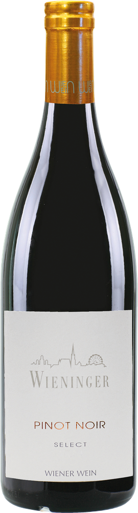 Wein aus Österreich Rarität Pinot Noir Select 2002 Verkaufseinheit