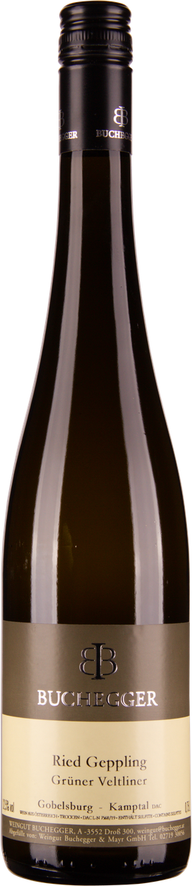 Grüner Veltliner Ried Geppling Gobelsburg Kamptal DAC 2020 von BUCHEGGER aus Österreich