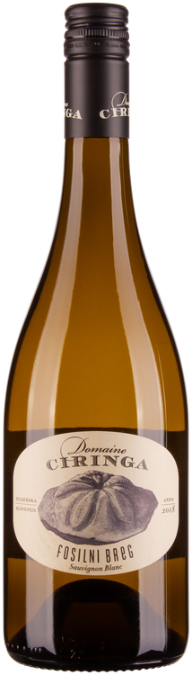 Sauvignon Blanc Fosilni Breg bio 2020