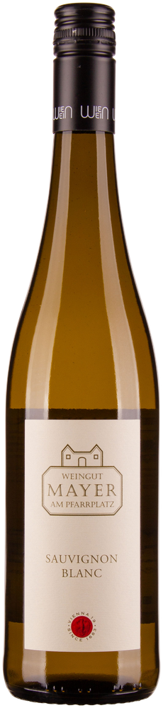 Wein aus Österreich Sauvignon Blanc 2023 Verkaufseinheit