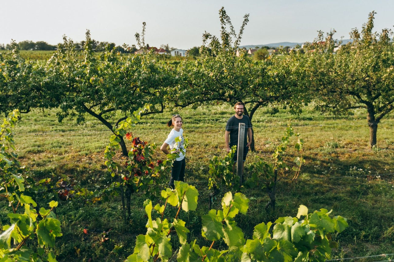 Weingut Weninger