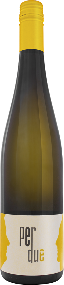Wein aus Österreich Grüner Veltliner per due Kremstal DAC 2023 Glasflasche