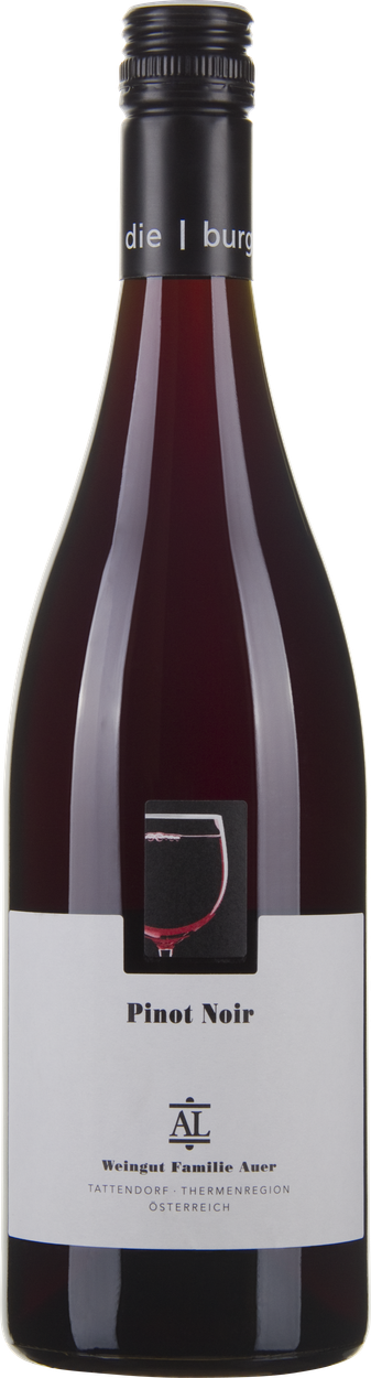 Pinot Noir Tattendorf bio 2023 von LEOPOLD AUER aus Österreich