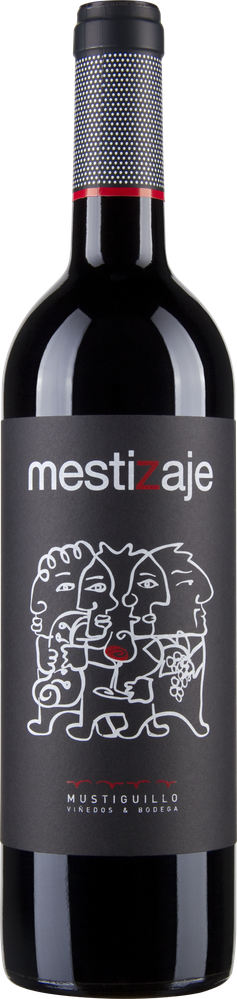 Wein aus Spanien Mestizaje Tinto Vino de Pago DOP El Terrerazo bio 2021 Glasflasche