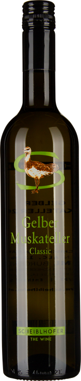 Gelber Muskateller 2022