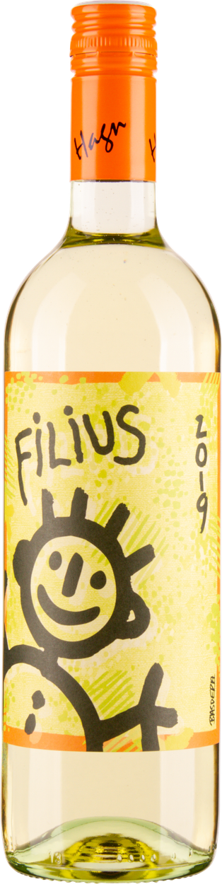 Grüner Veltliner Filius 2024 von HAGN aus Österreich