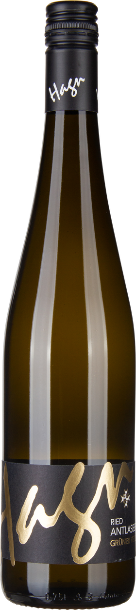Grüner Veltliner Ried Antlasbergen 2025 von HAGN aus Österreich