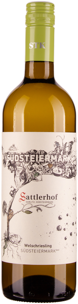Wein aus Österreich Welschriesling Südsteiermark DAC bio 2021 Glasflasche