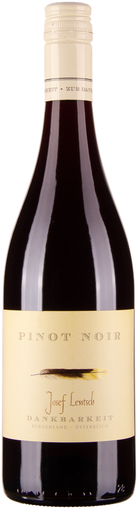 Wein aus Österreich Josef Lentsch Pinot Noir 2022 Glasflasche
