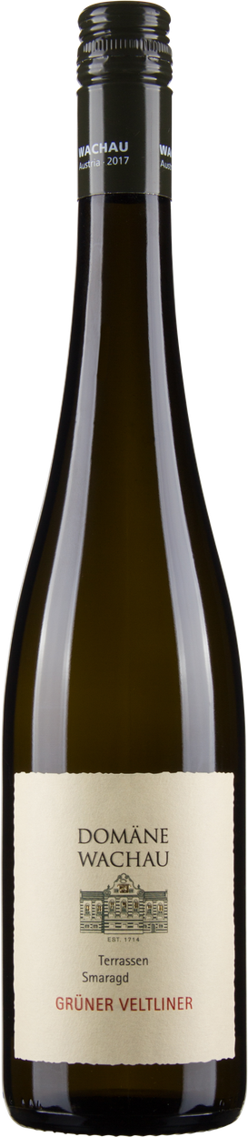 Grüner Veltliner Smaragd Terrassen Wachau DAC 2024 von DOMÄNE WACHAU aus Österreich