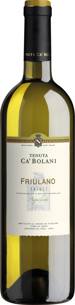 Wein aus Italien Friulano Friulano 2023 Glasflasche