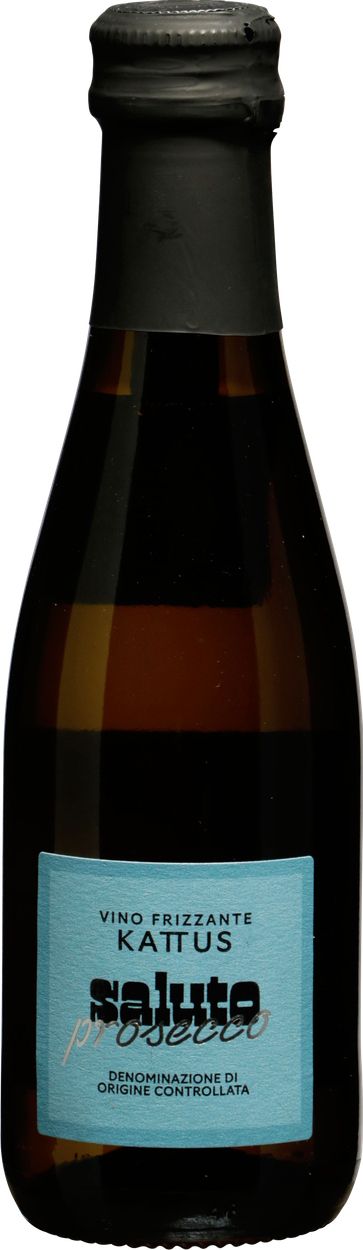 Prosecco Frizzante von SALUTO aus Italien