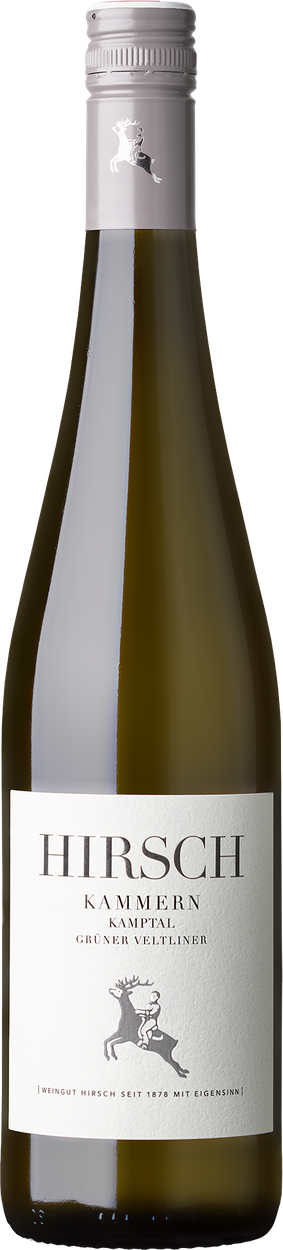 Grüner Veltliner Kammern Kamptal DAC bio 2024 von HIRSCH aus Österreich