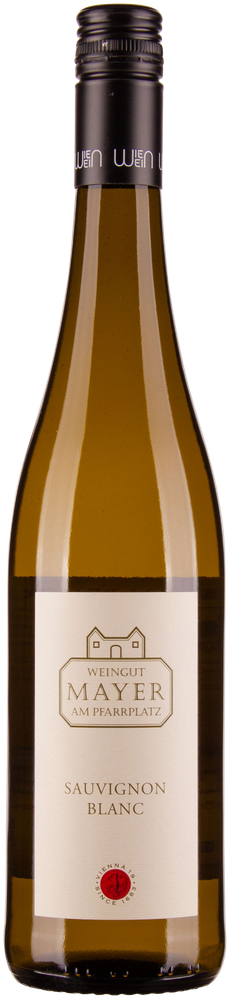 Wein aus Österreich Sauvignon Blanc 2023 Glasflasche