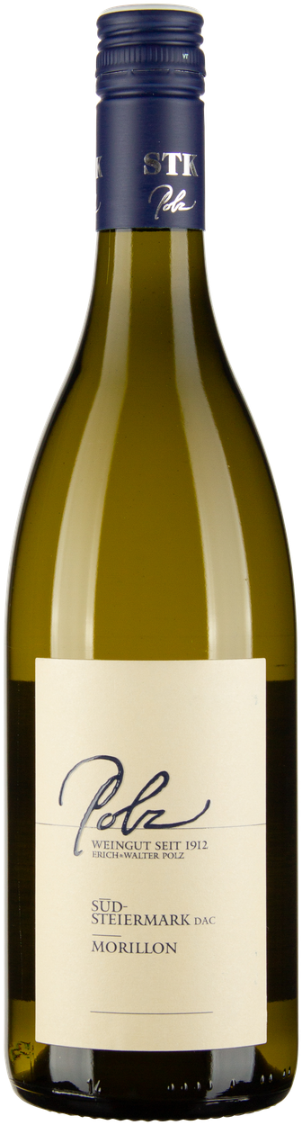 Morillon Südsteiermark DAC 2023 von POLZ aus Österreich