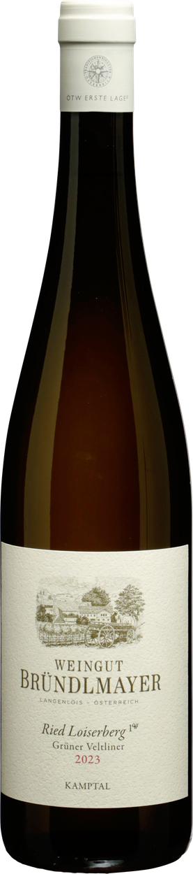Rarität Grüner Veltliner Ried Loiserberg 1ÖTW Kamptal DAC bio 2023 von BRÜNDLMAYER aus Österreich