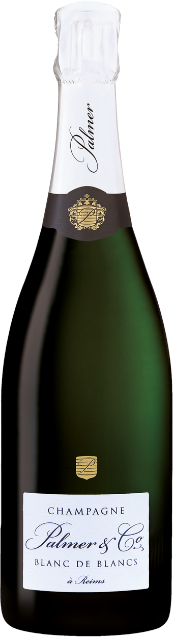 Blanc de Blancs von PALMER aus Frankreich