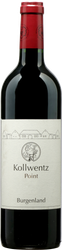 Wein aus Österreich Rarität Blaufränkisch Point 2012 Glasflasche