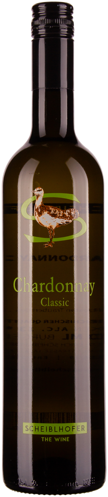 Wein aus Österreich Chardonnay 2023 Glasflasche