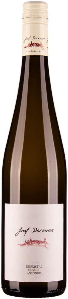 Wein aus Österreich Riesling Antonius Kremstal DAC 2023 Glasflasche