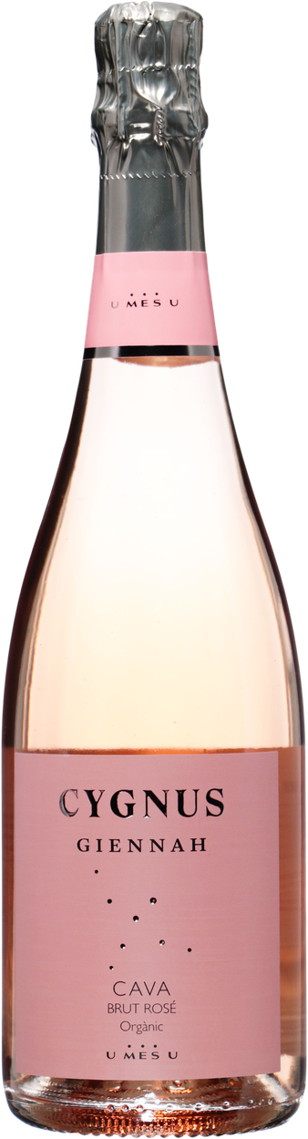 Cygnus Giennah Cava Rose brut bio von U MES U aus Spanien
