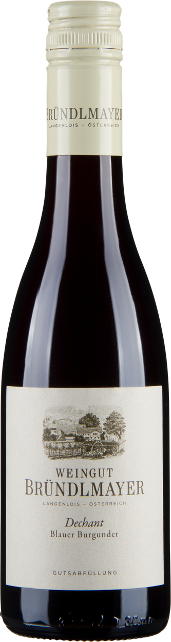 Pinot Noir bio 2022 von BRÜNDLMAYER aus Österreich