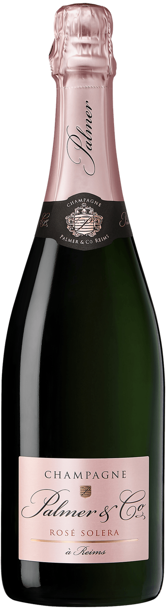 Rose Solera von PALMER aus Frankreich