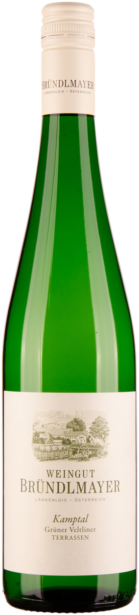 Grüner Veltliner Terrassen Kamptal DAC bio 2024 von BRÜNDLMAYER aus Österreich