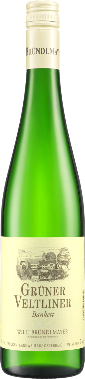 Grüner Veltliner Hauswein bio 2024 von BRÜNDLMAYER aus Österreich