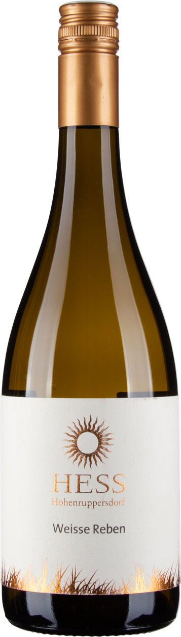 Weisse Reben 2023 von HESS aus Österreich