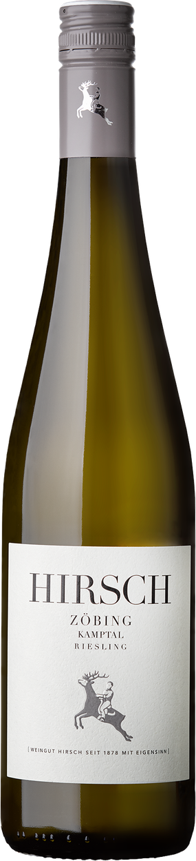 Riesling Zöbing Kamptal DAC bio 2023 von HIRSCH aus Österreich