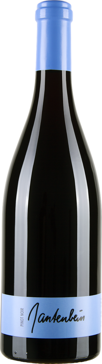 Pinot Noir 2022 von GANTENBEIN aus Schweiz