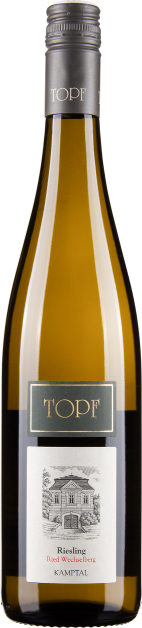 Riesling Ried Wechselberg Kamptal DAC 2022 von TOPF aus Österreich
